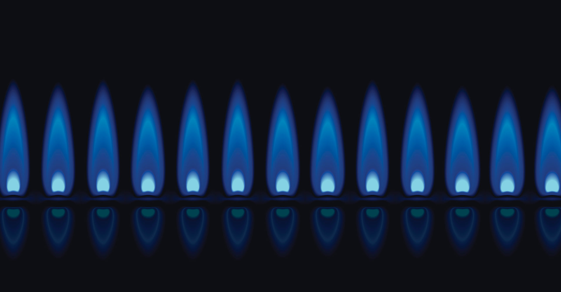 Boiler Customer Reviews